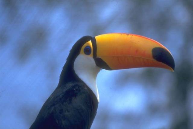 Excursiones Regulares Grupales 